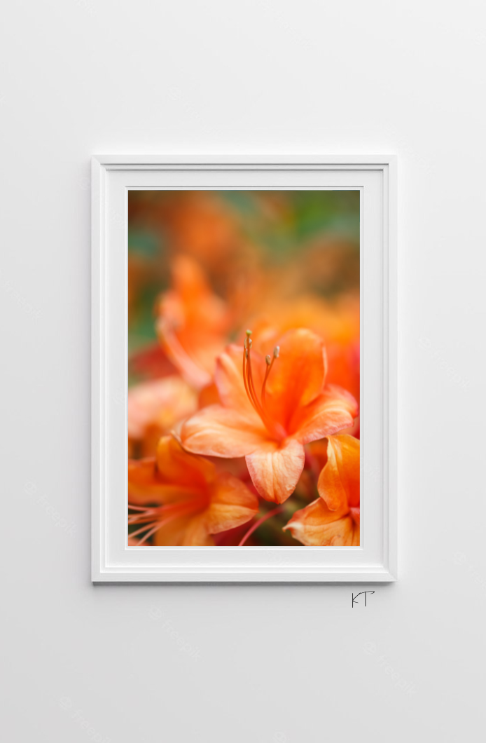 Tangerine Delight