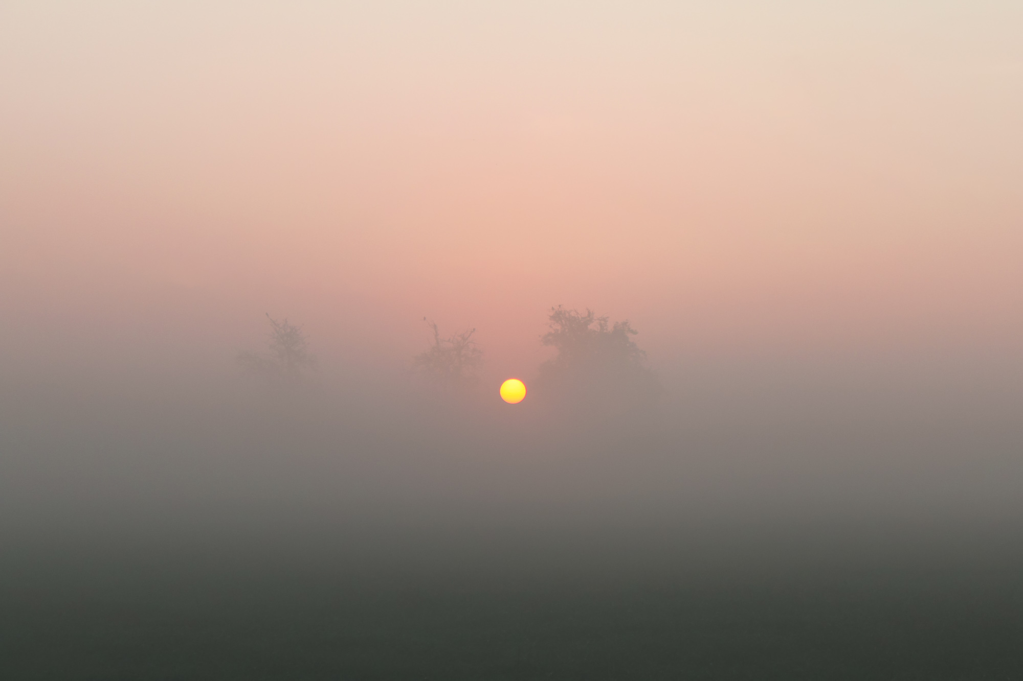 Ghosts Of The Morning