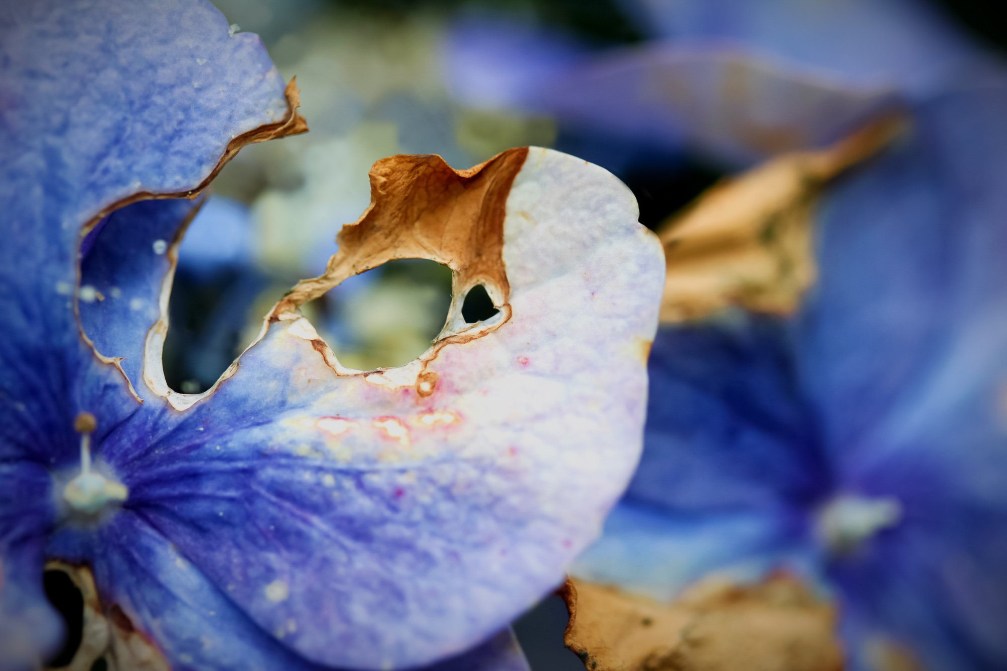 Azure To Memory
