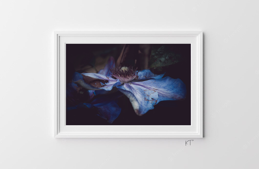 Indigo Serenade