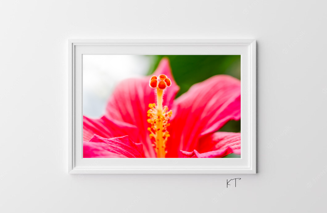 Through The Petal Gate