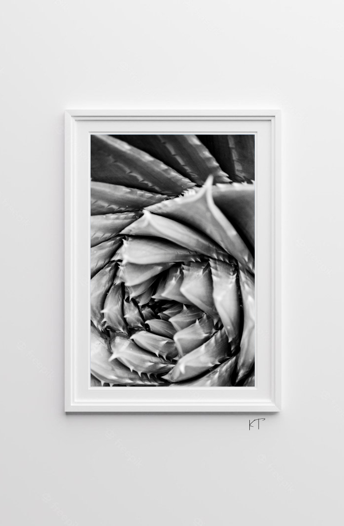 Twirled In Time
