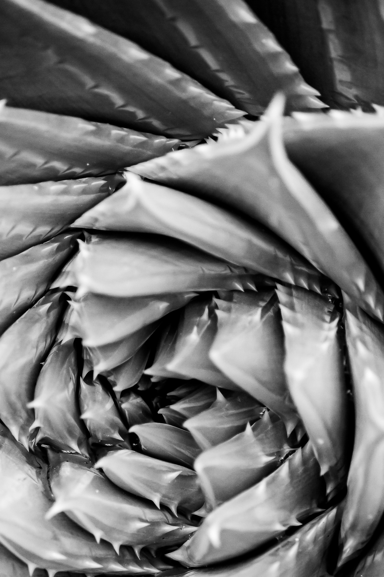 Twirled In Time