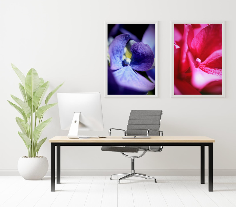 Violet Mist And Petal Rouge