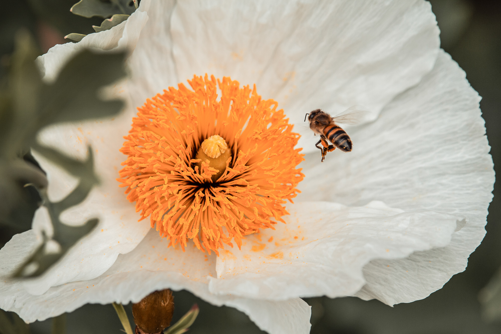 A Delicate Rendevous