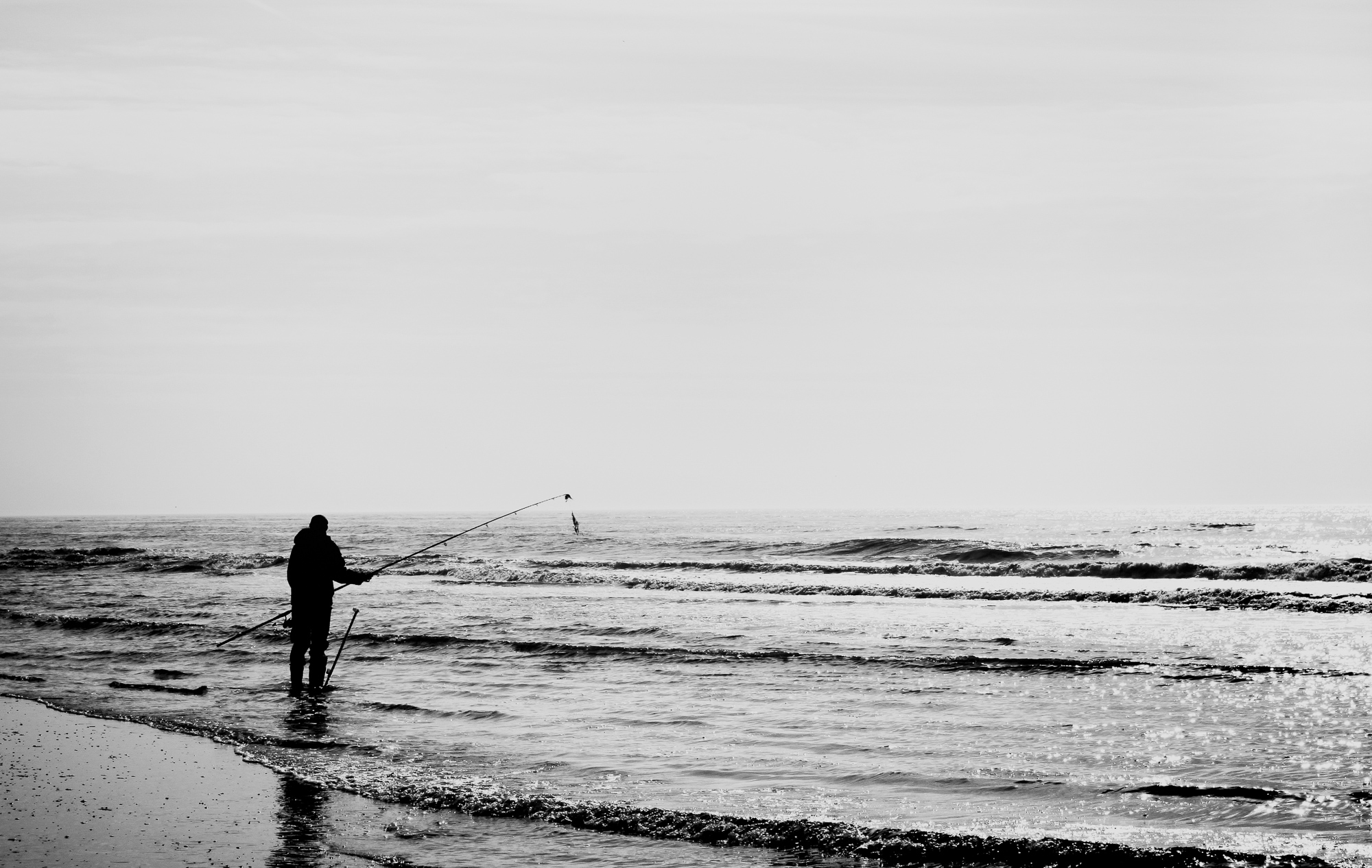 The Mariner's Lullaby