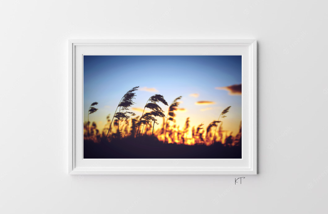 Solstice Reverie