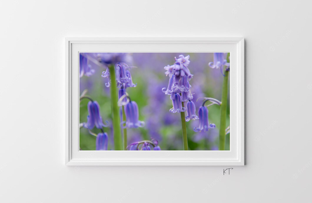 Spring's Blue Tapestry