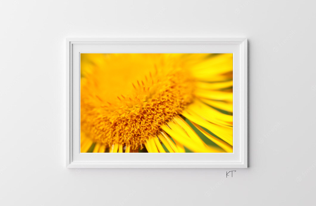 Radiance In Detail