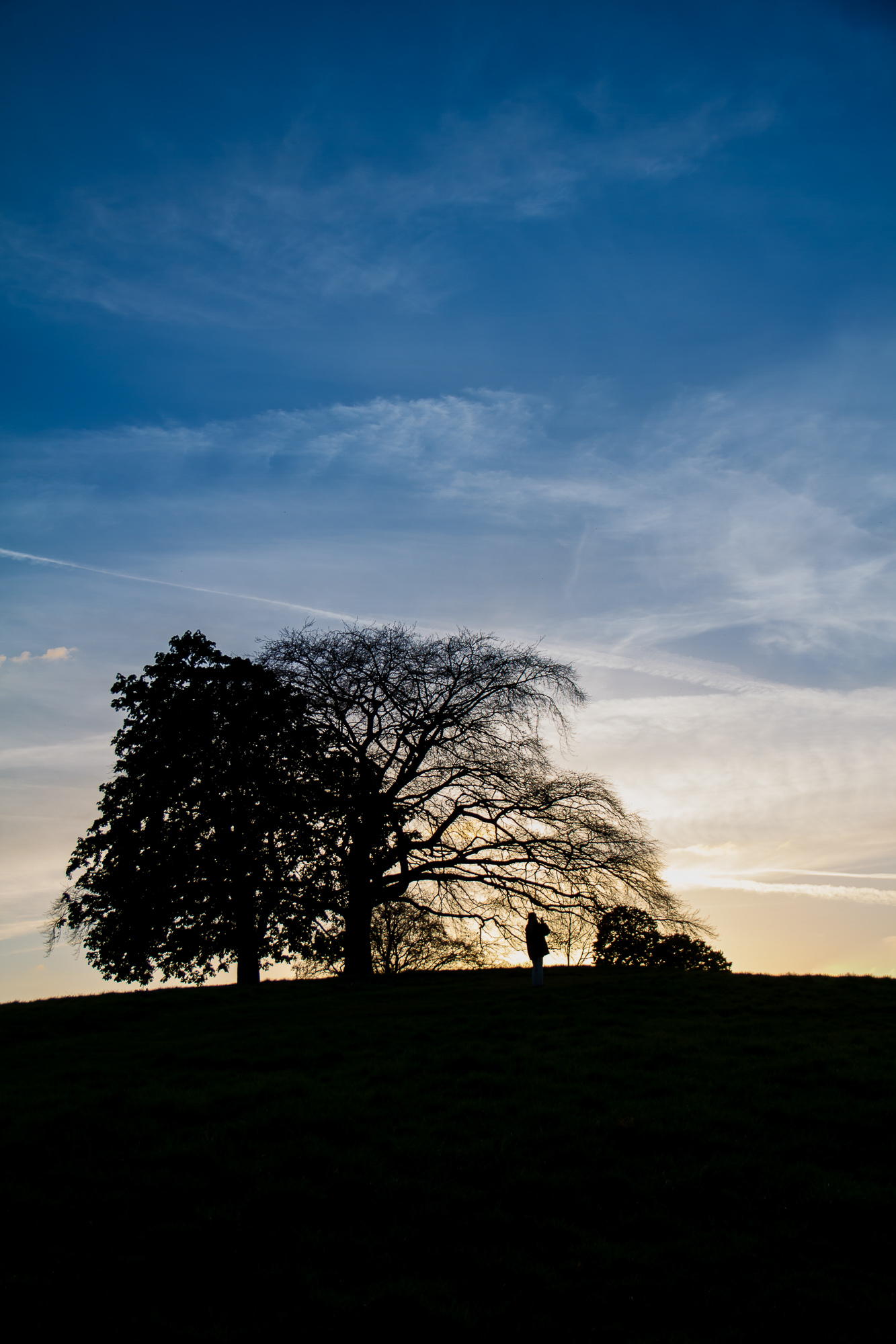 In The Shadow Of Dusk