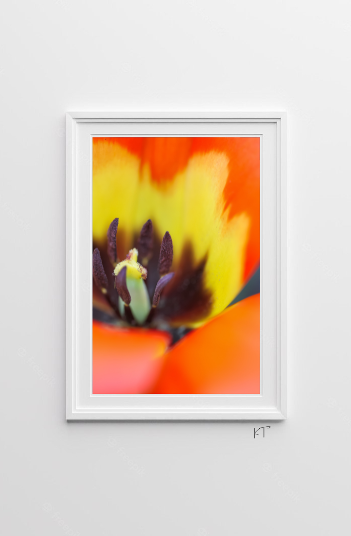 Flames Of Spring