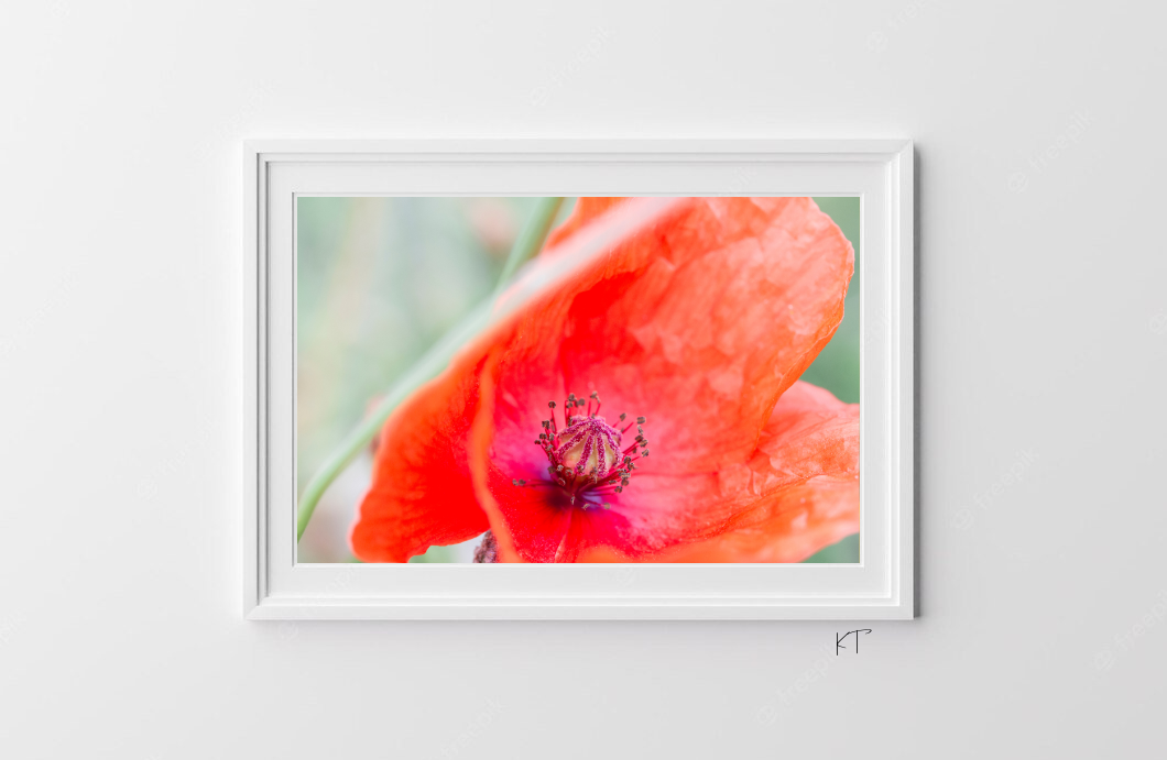 Petals Of Remembrance 