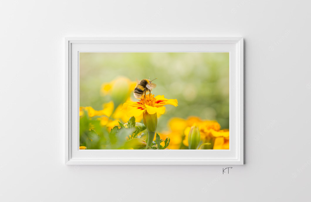 Buzzing Through The Breeze