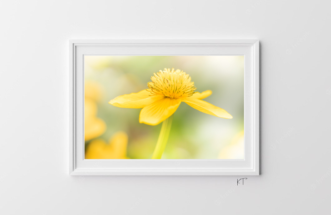 Floral Morphology No. 1