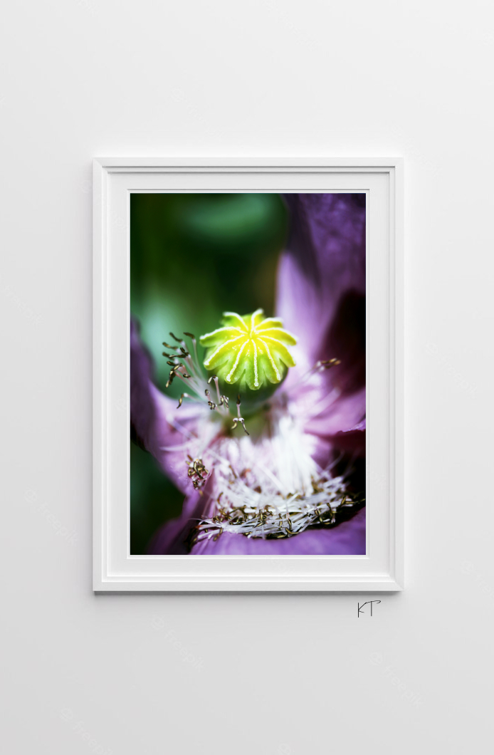 Amethyst Whimsy