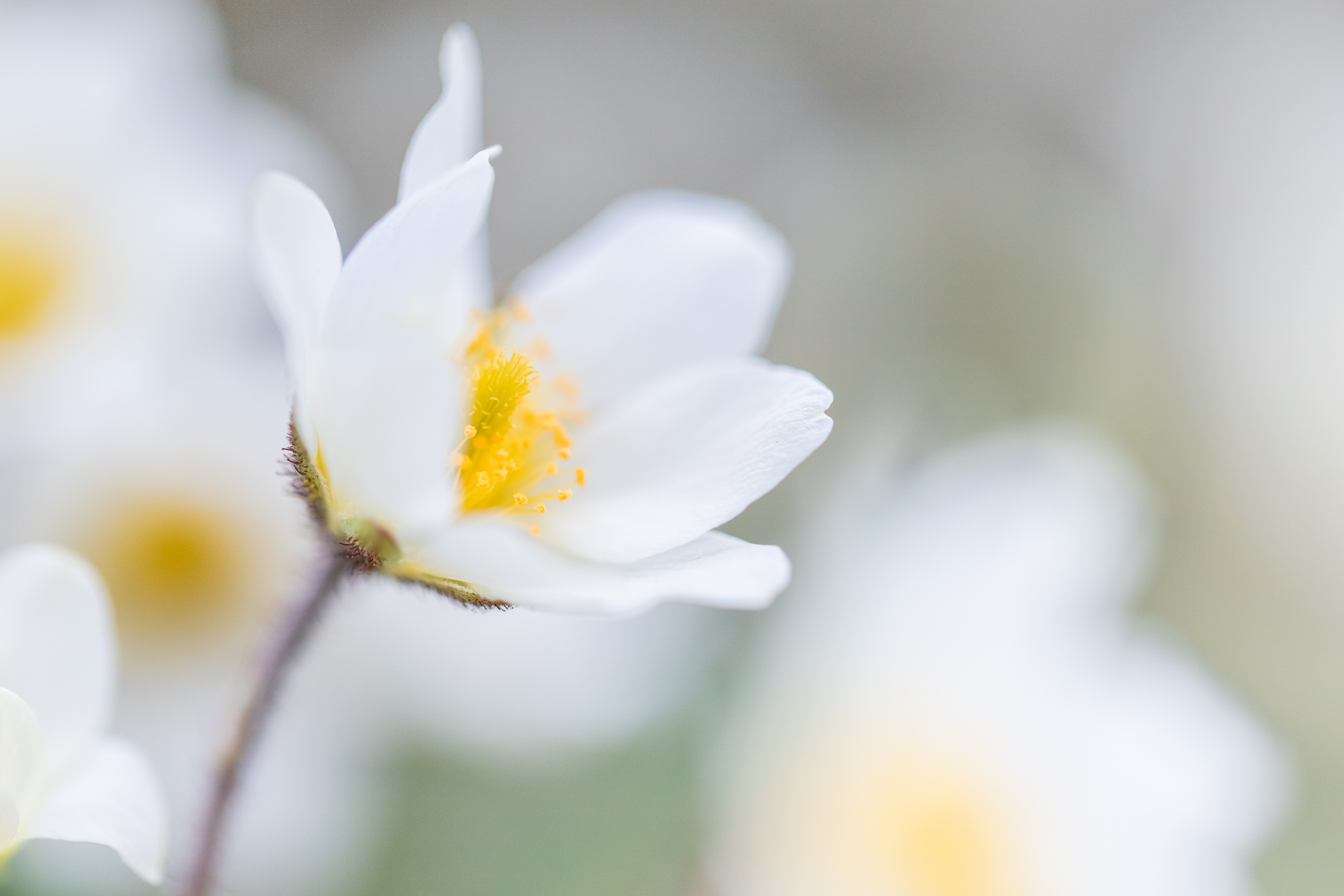 Stillness Is A Prayer