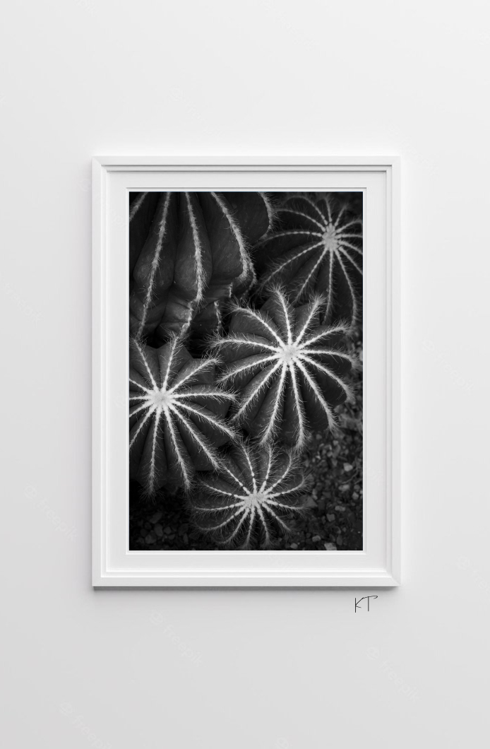 Prickly Monotones