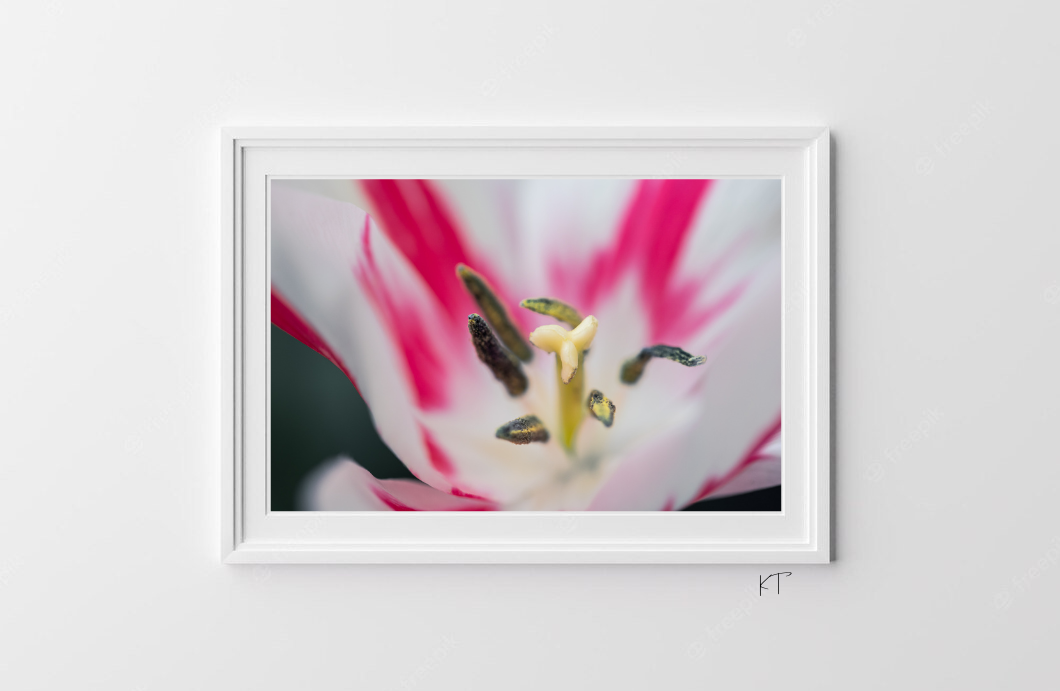Petal Vortex