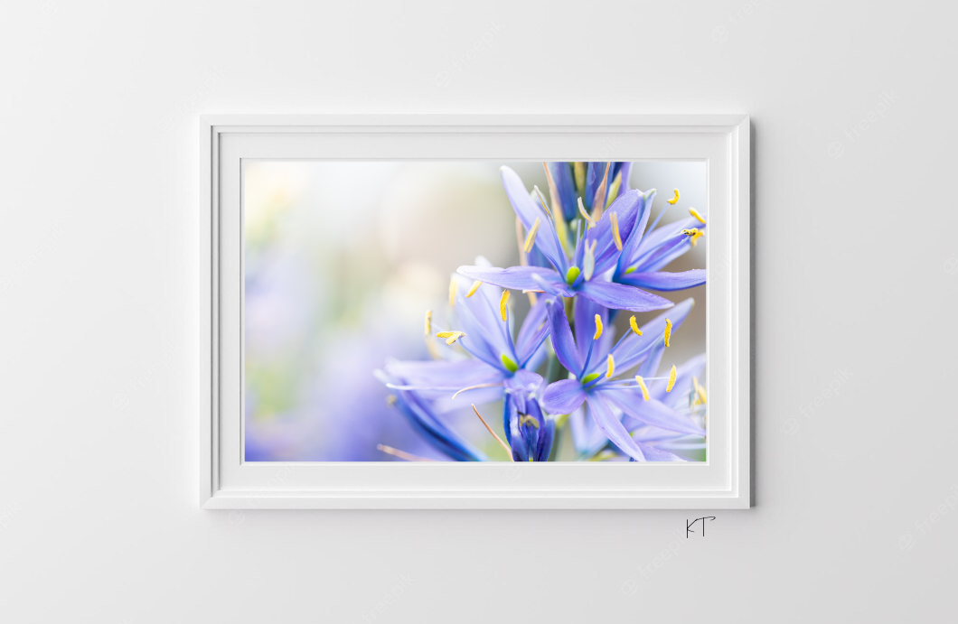 Lumenflora