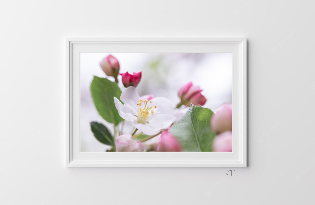 Essence Of Spring