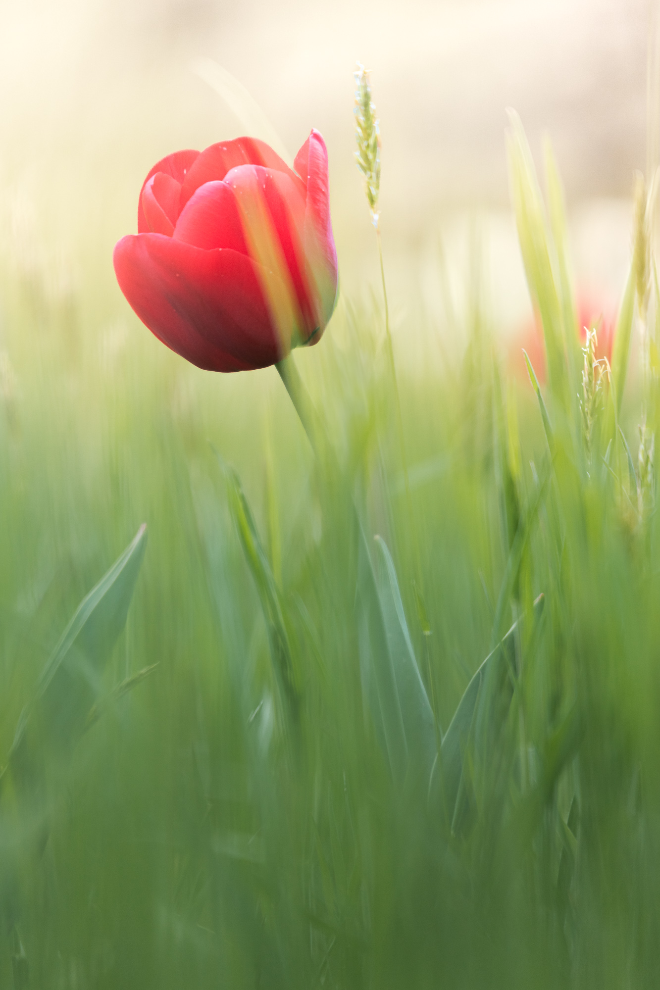 Pause In Nature's Breath