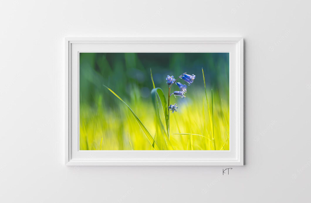 Linger, Little Bloom