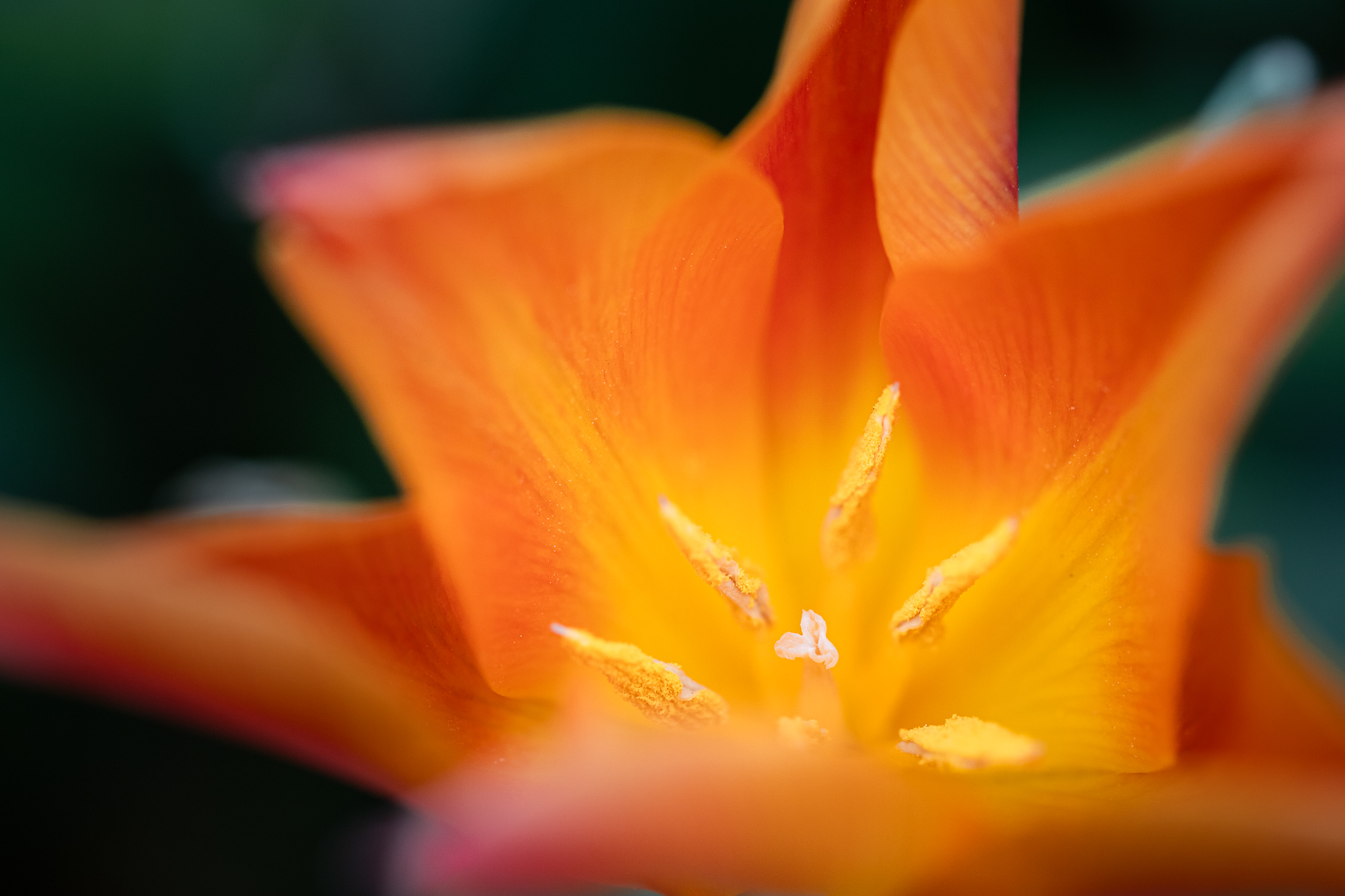 Quiet Flame