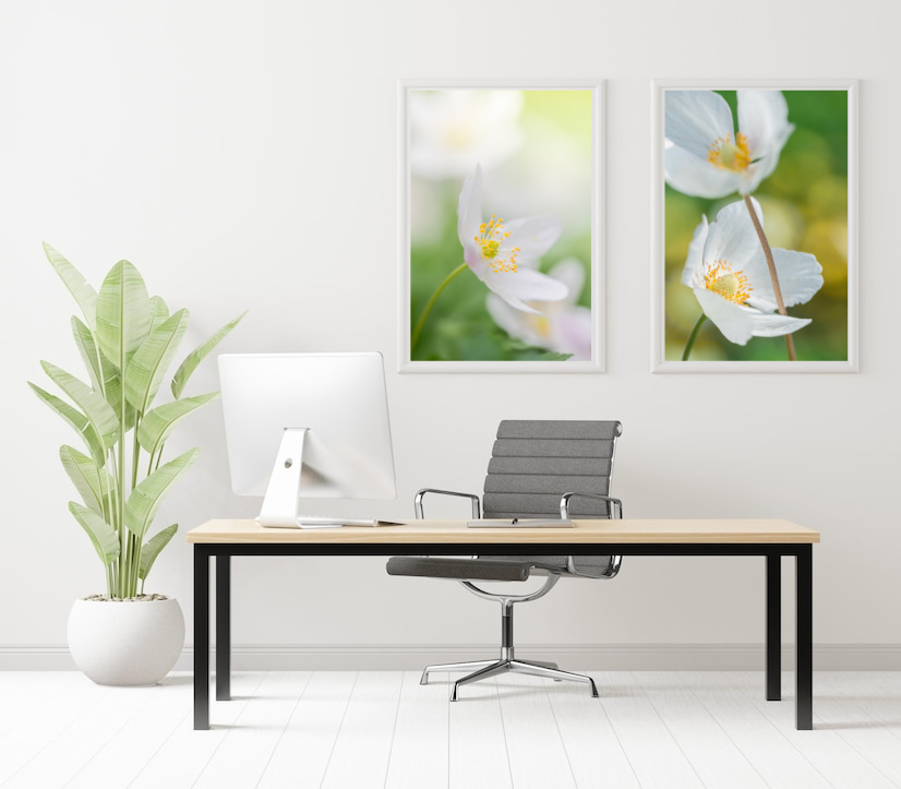 White Noise In Bloom