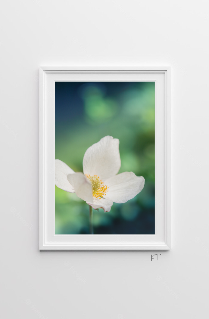 Solstice Blossom