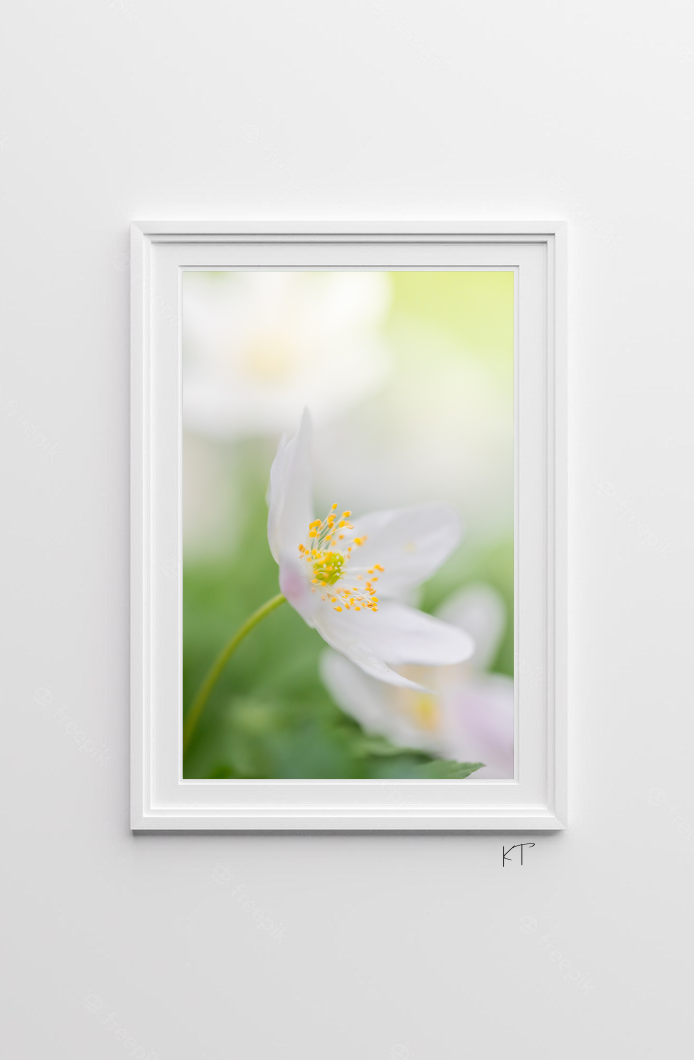 Tender Light