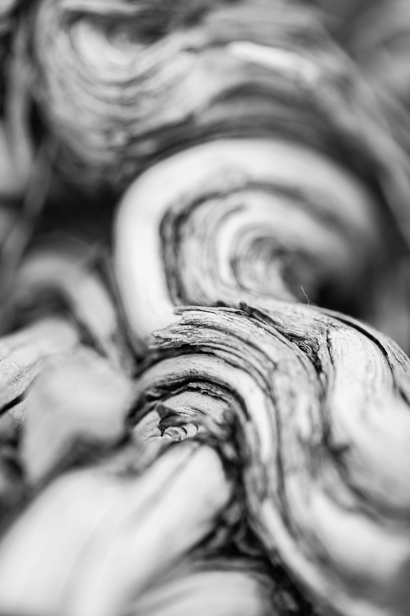 Wonky Textures