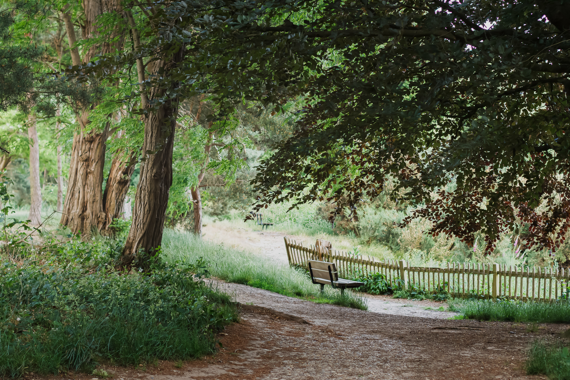 The Solace Seat