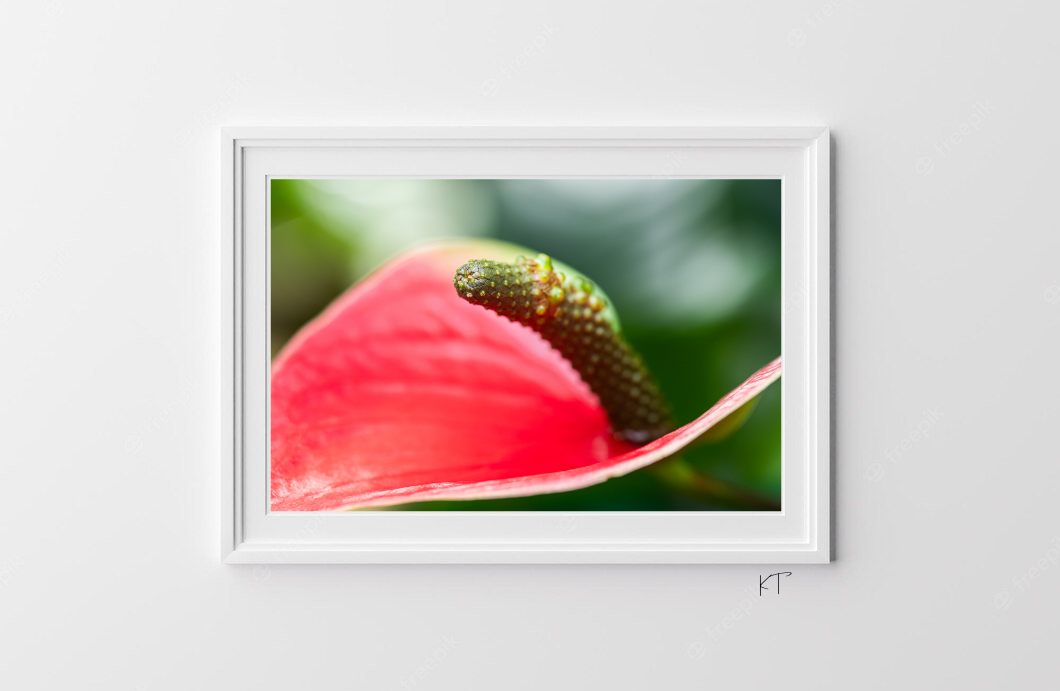 MonoPetal