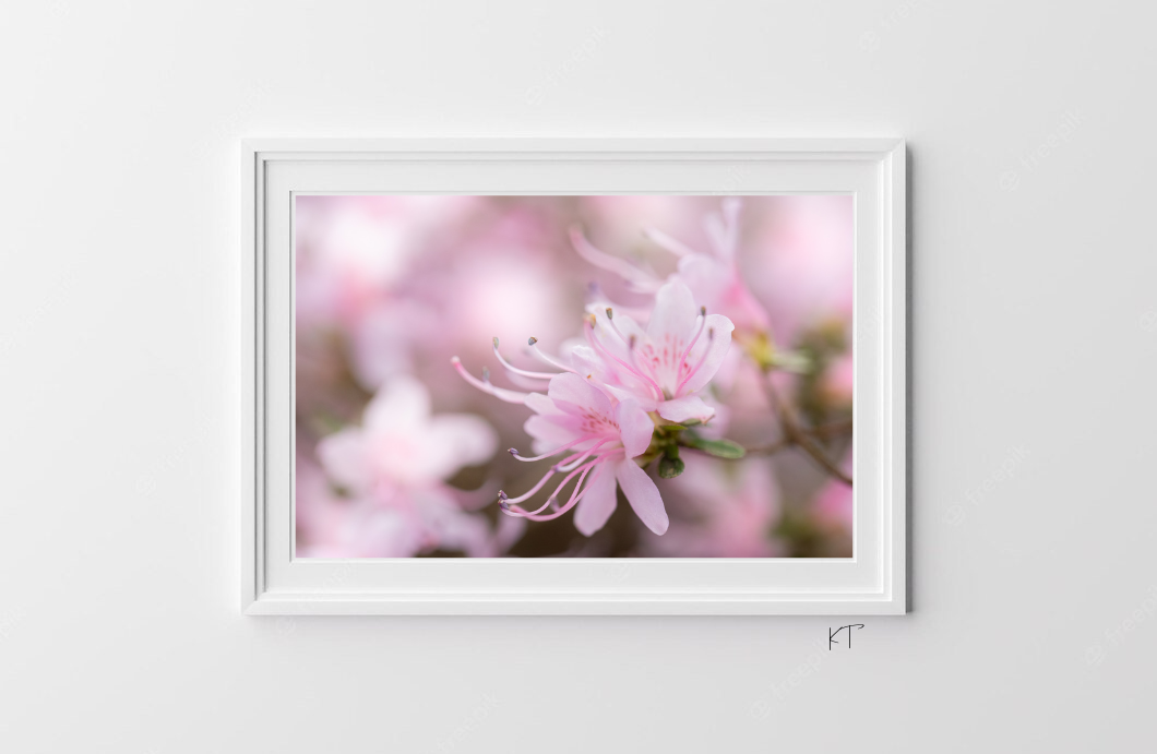 Light Teaches The Bloom