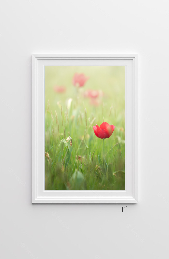 Rouge Sur Vert