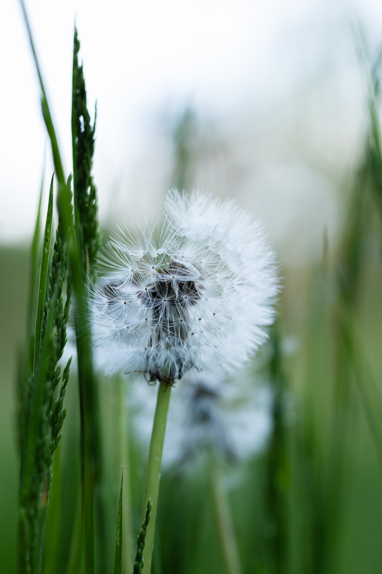 Time Unwoven