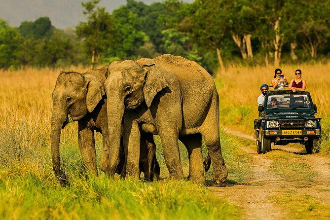 Jim Corbett
