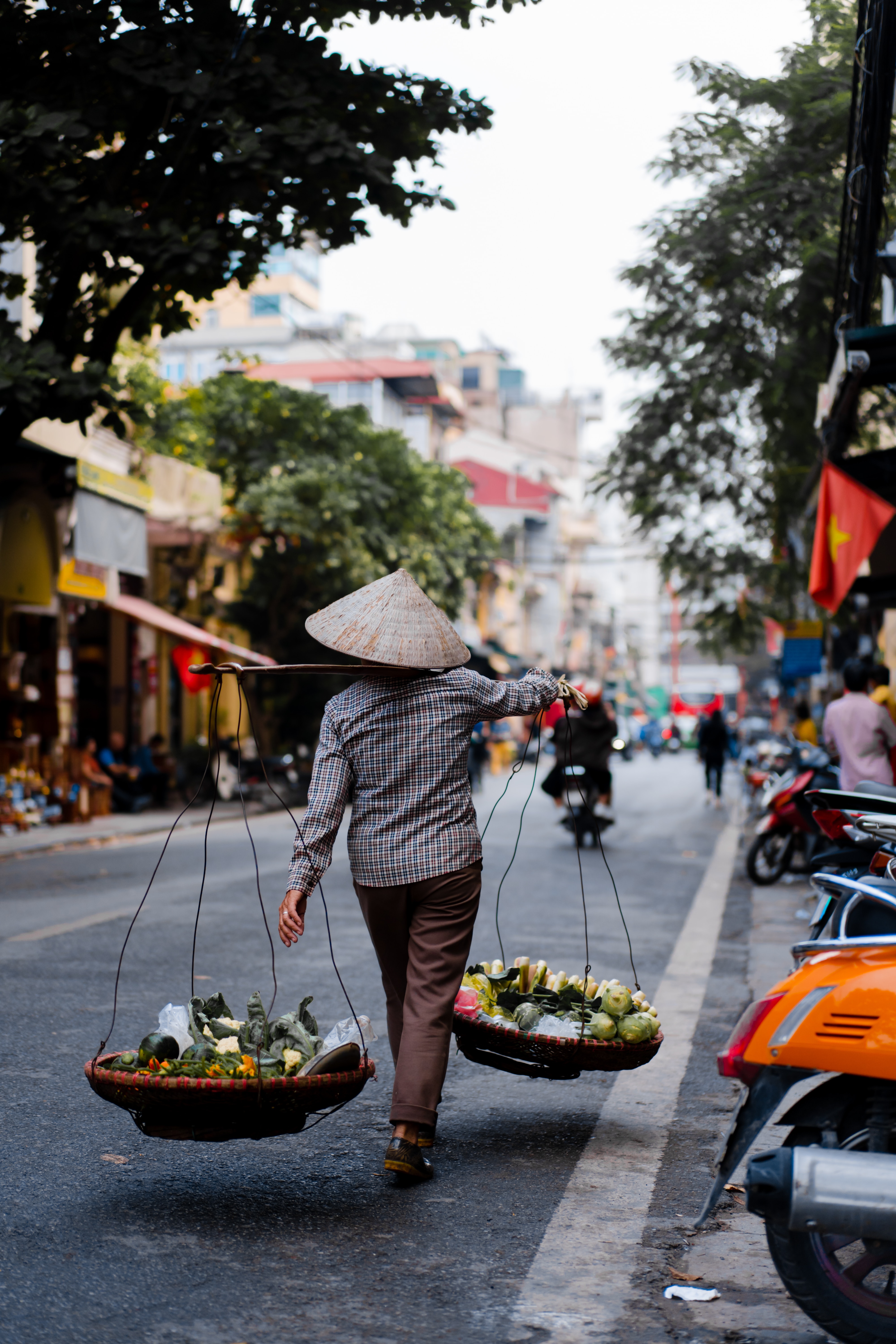 7 Day special (Vietnam)