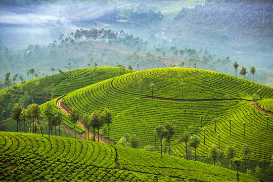 πΈ 6 Days Romantic Escapade to Kerala