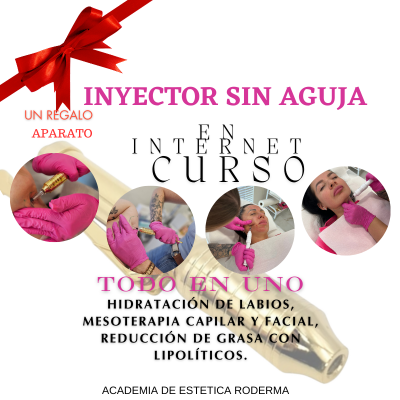 Hidratación de labios, mesoterapia capilar y facial, reducción de grasa con lipolíticos