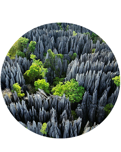 CIRCUIT OUEST TSINGY & BAOBABS / 7 JOURS