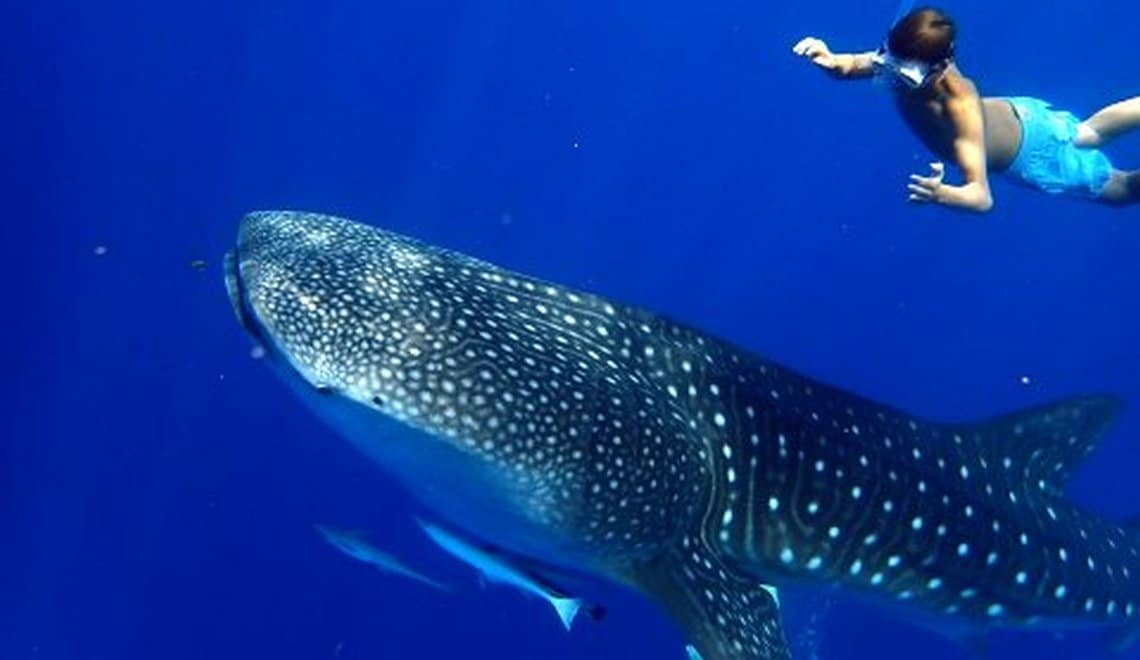 CIRCUIT NORD DIEGO NOSY BE / 10 JOURS