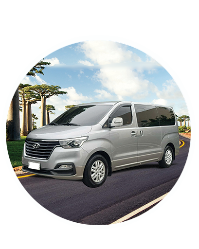 MINIBUS PREMIUM 12 PL 4WD