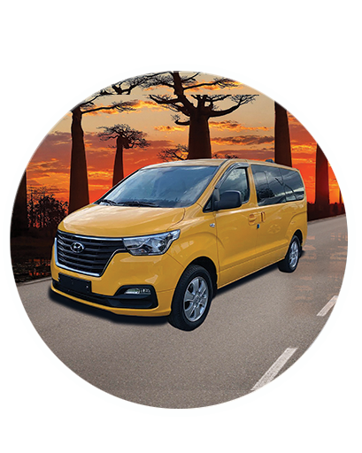 MINIBUS PREMIUM 11 PL 4WD