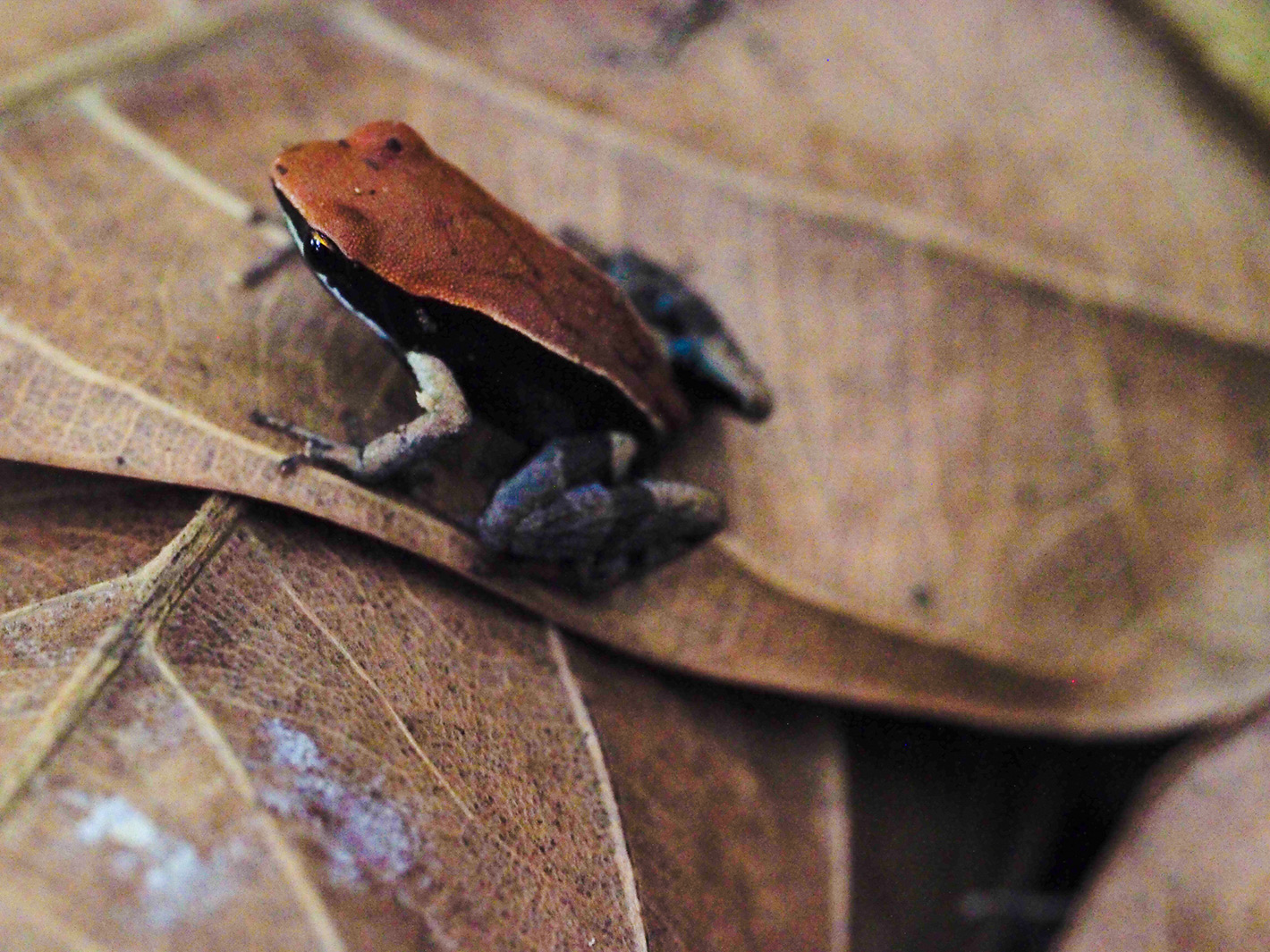 CIRCUIT SUD RN7 / 9 JOURS