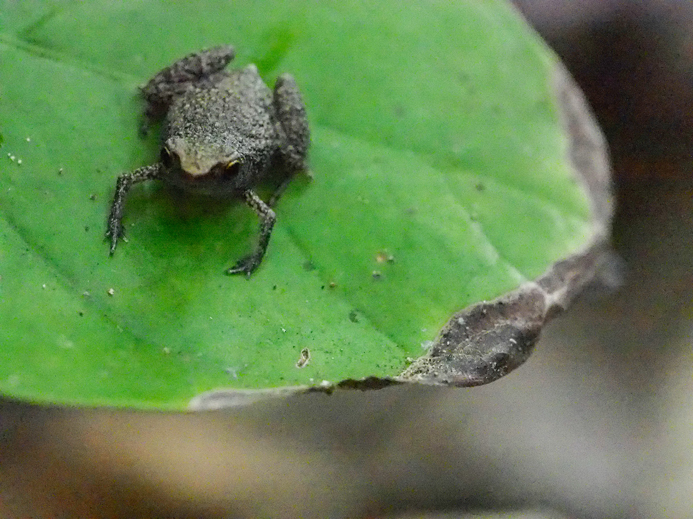 CIRCUIT SUD RN7 / 9 JOURS