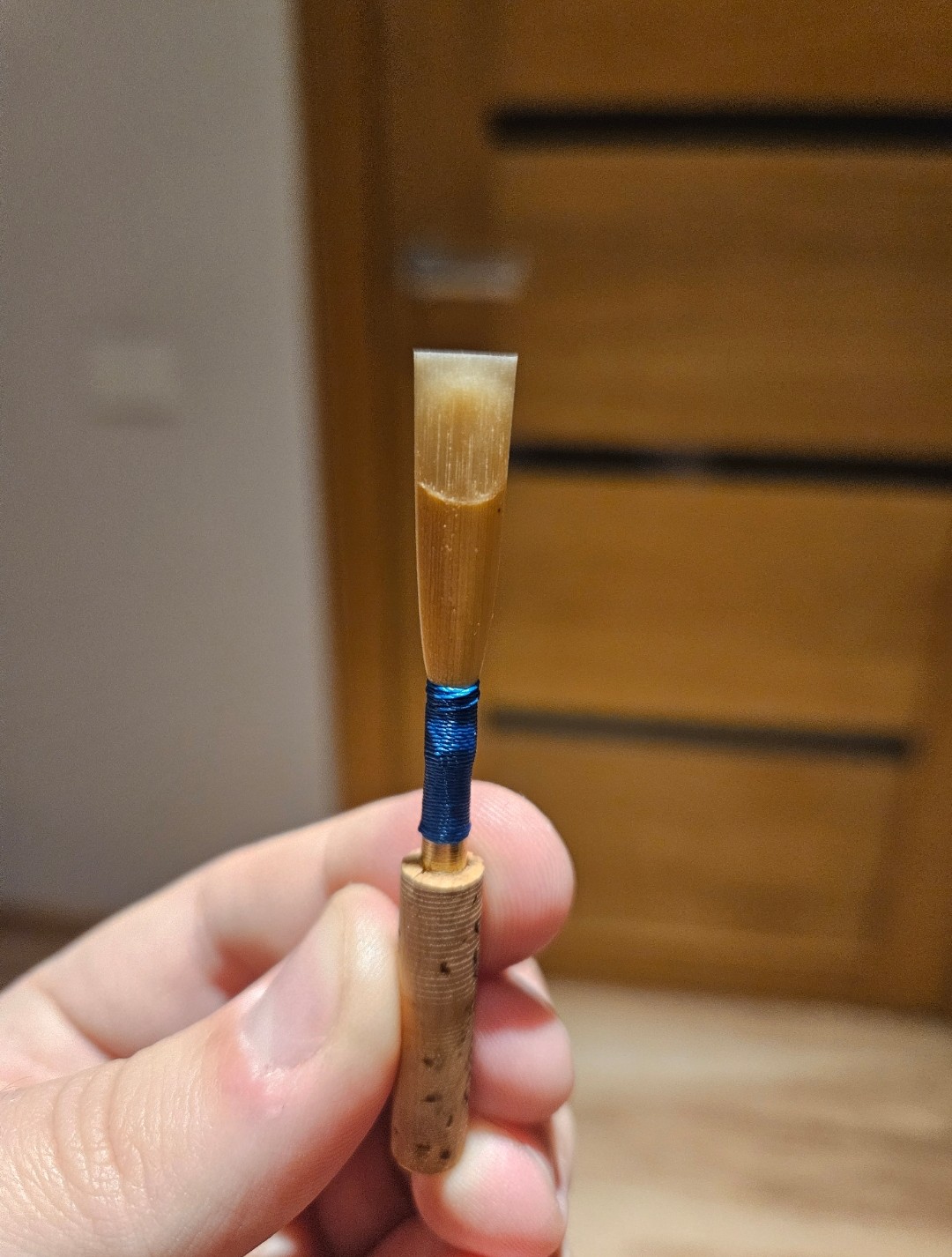 Professional oboe reed