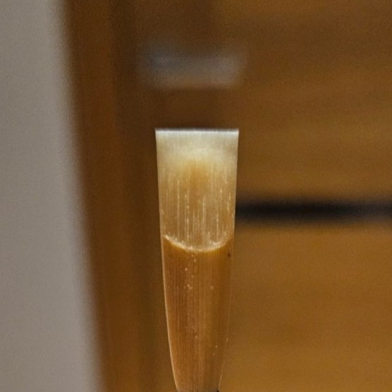 Professional oboe reed