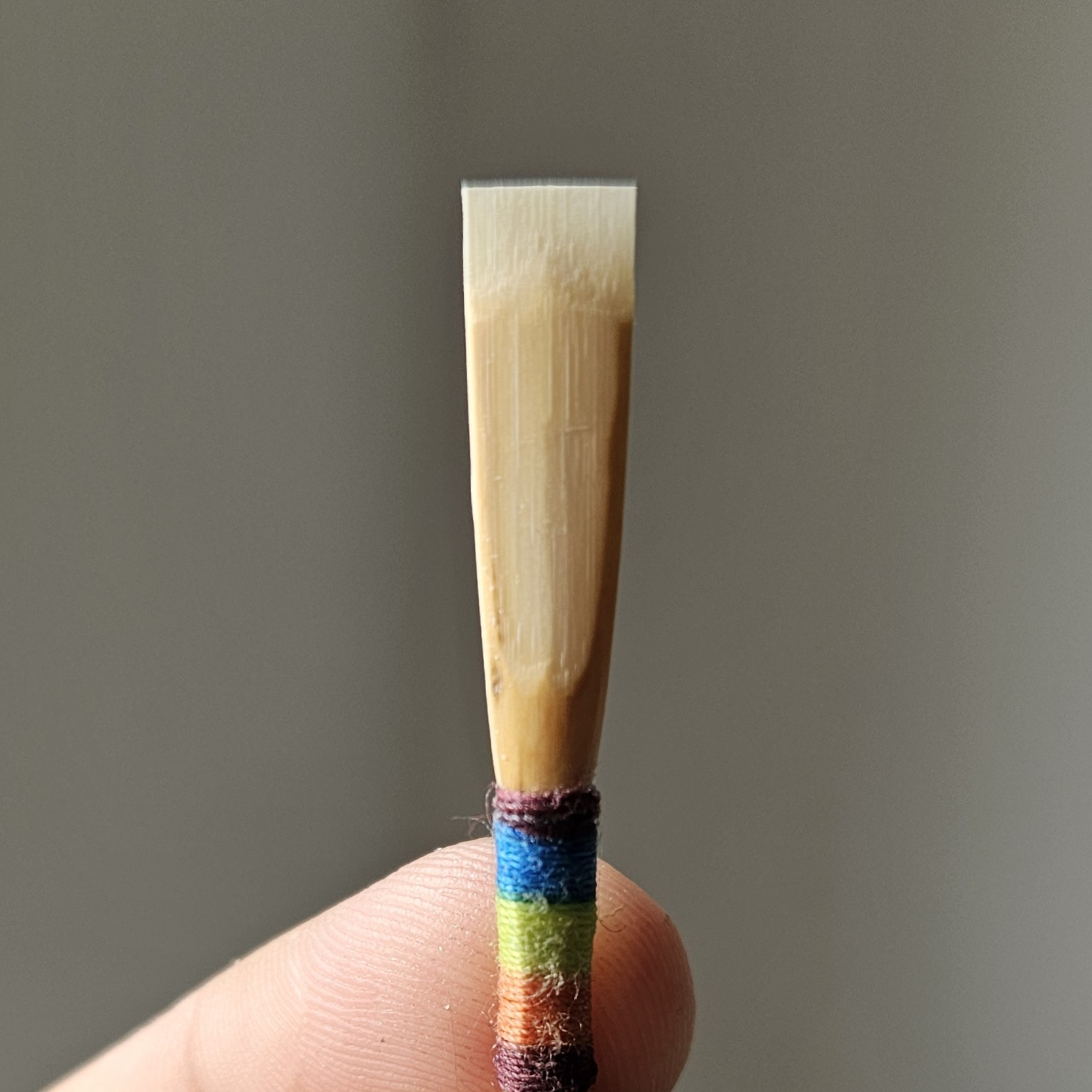 Professional oboe reed