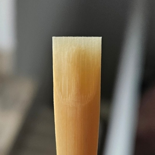 Professional English Horn reed